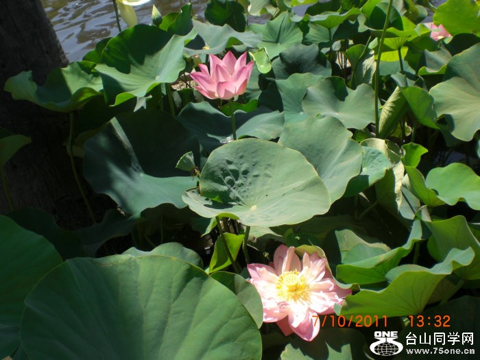 2011_07100039.JPG