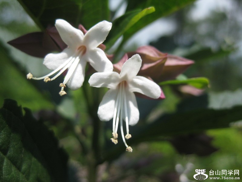 Ƭ011.7.2 055.jpg