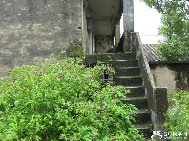 2011.7.116ѧУ 047.jpg