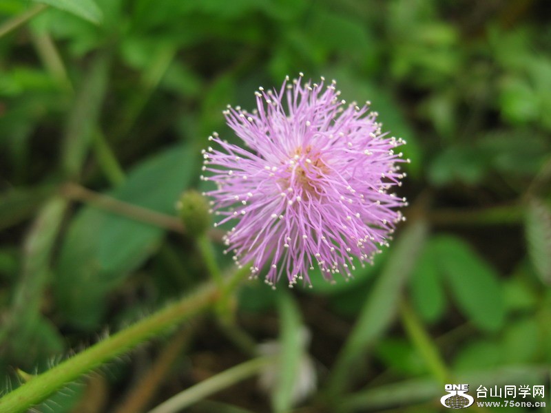 2011.7.116ѧУ 087.jpg