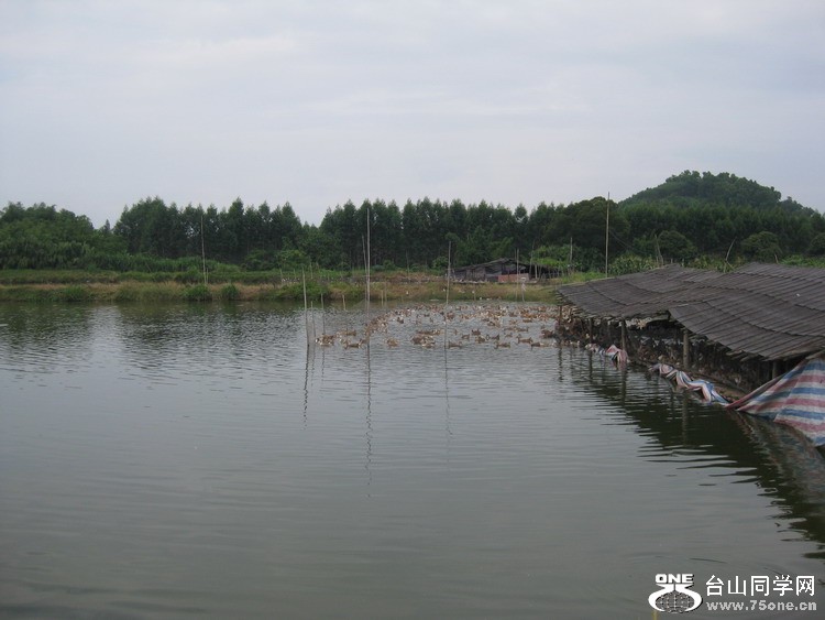 2011.7.14ȭѾۻһ 169.jpg