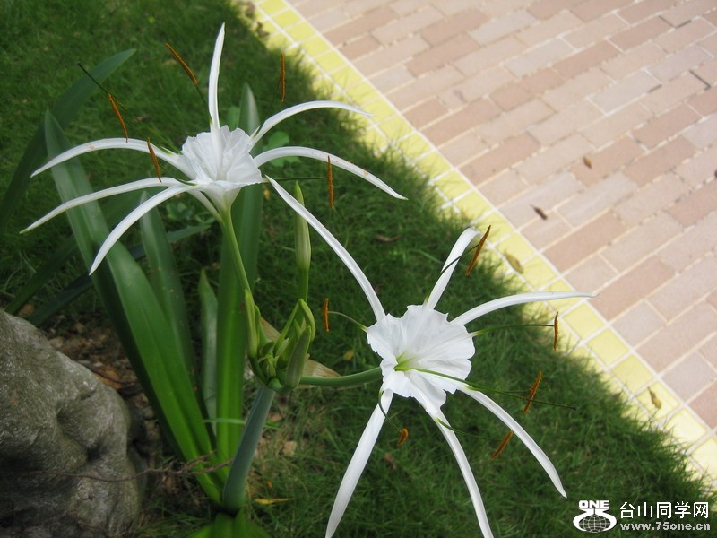 2011.7.8 037.jpg