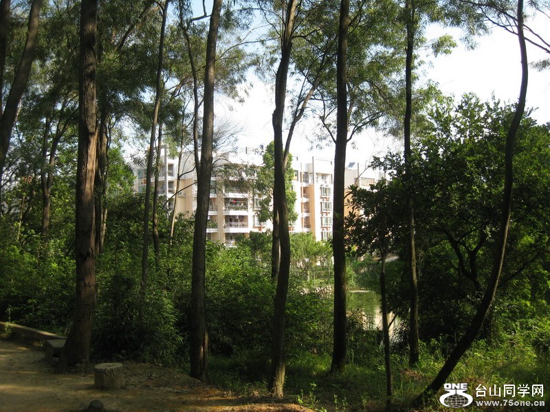 2011.7.8 007.jpg