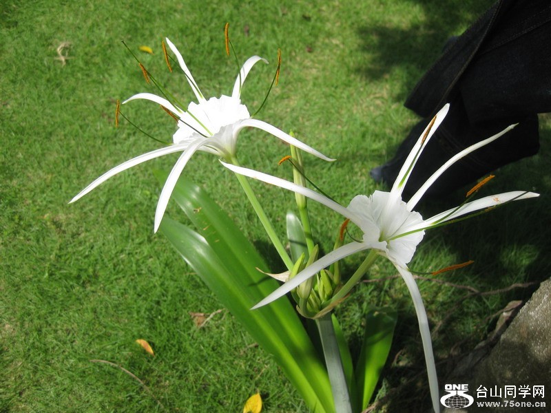 2011.7.8 040.jpg