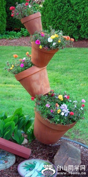 containers-Eggertsville-garden[1].jpg
