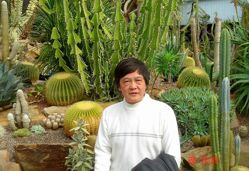DSC08221 [800x600].jpg