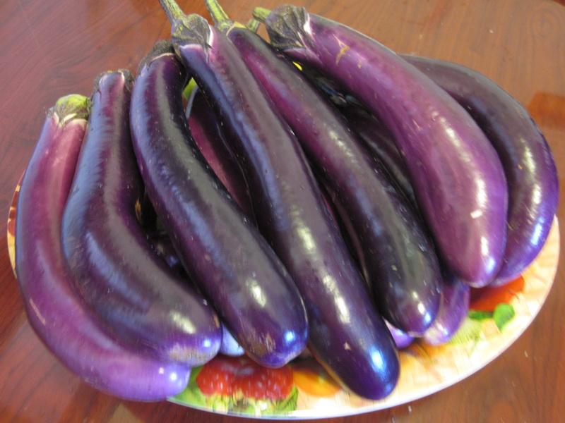 9567.jpg