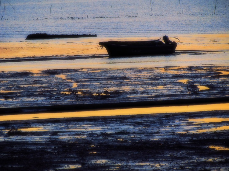 IMG_2745.JPG