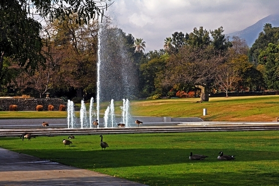 Picture 233-3.jpg
