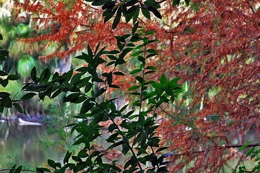 Picture 195-3.jpg