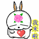 ̨-2.gif