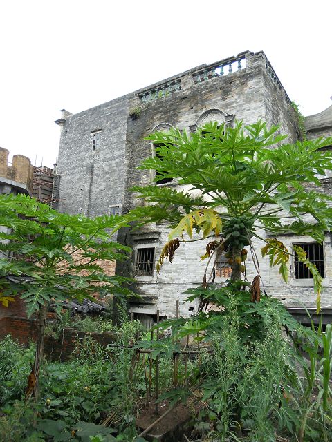 DSCN0845.JPG