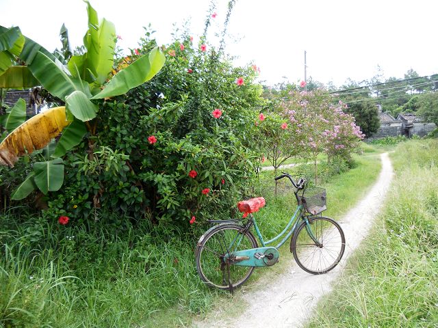 DSCN0355.JPG