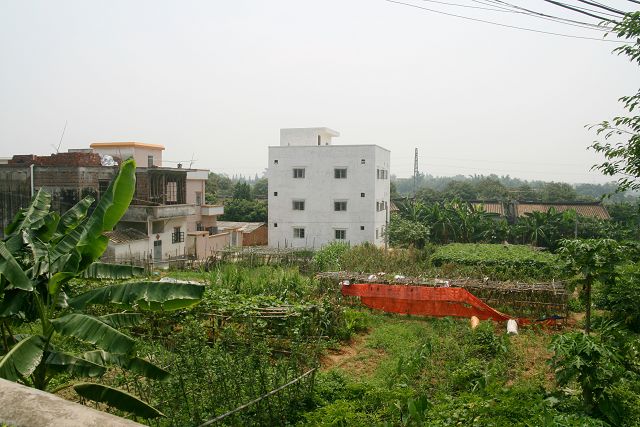 IMG_9755.JPG