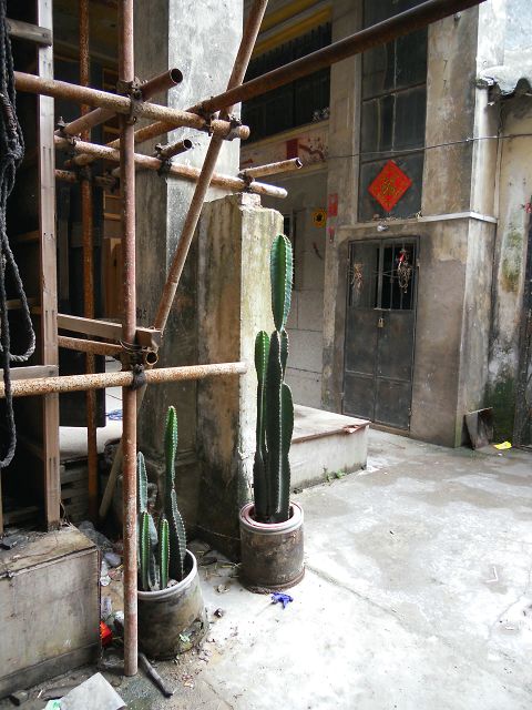 DSCN0843.JPG