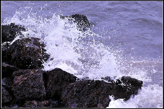 DSC_3439.JPG