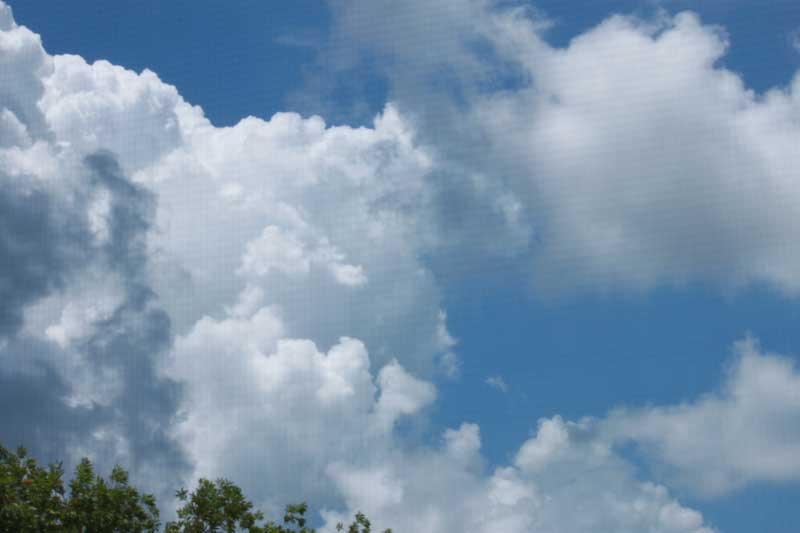 359.jpg