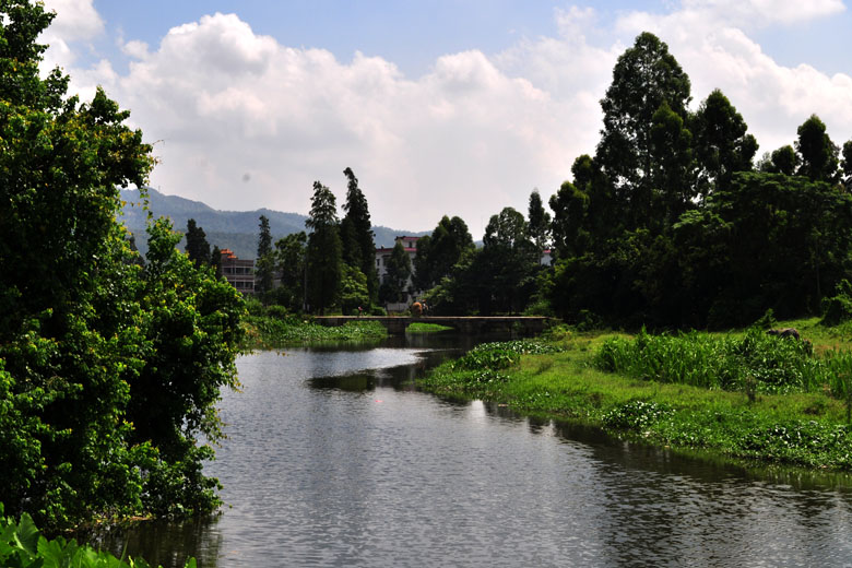 DSC_3491.jpg