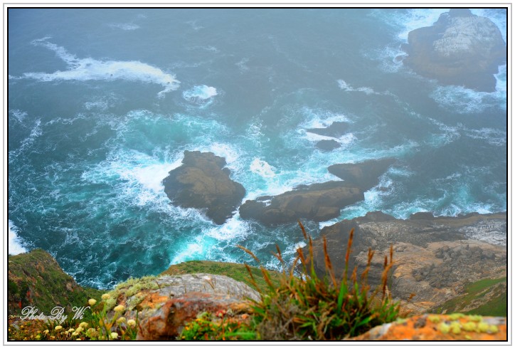 DSC_7044_conew1.jpg