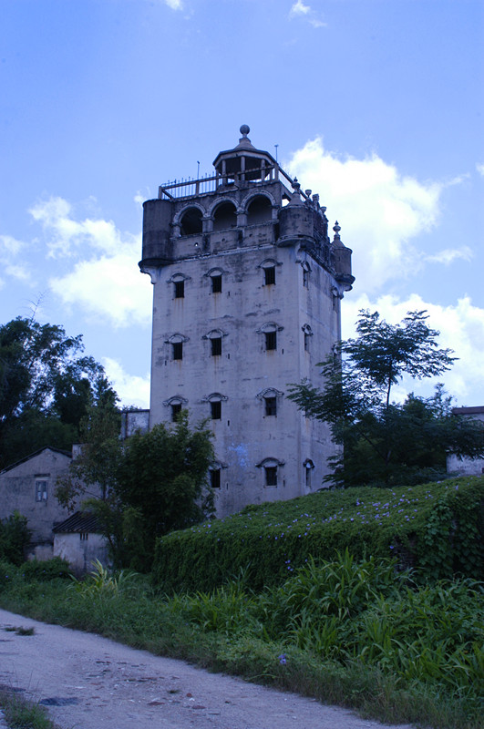 DSC_0204_.jpg