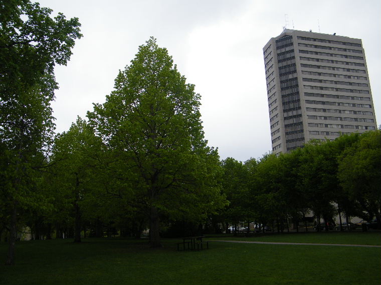 DSCF9498.JPG