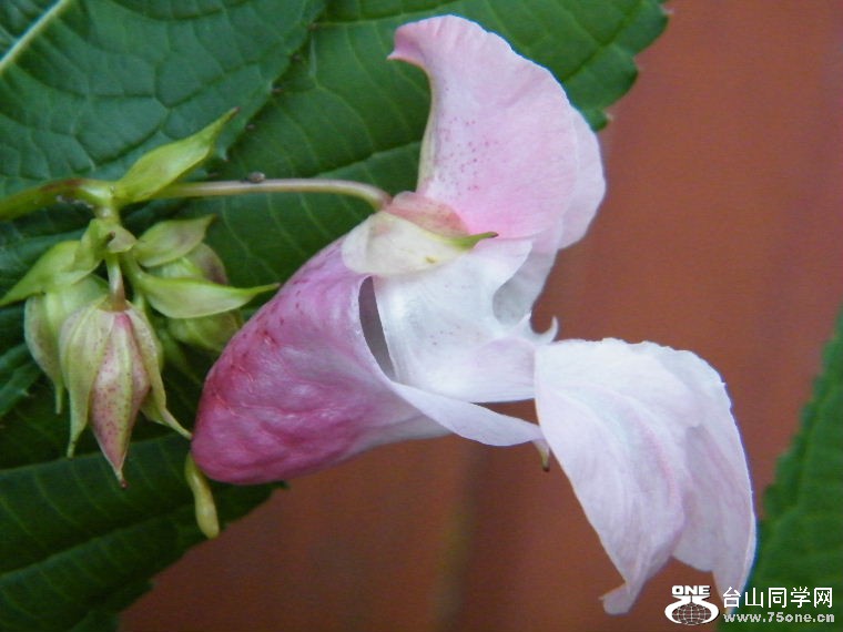 DSCF1681.JPG