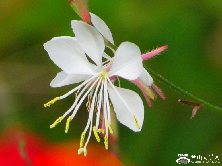 IMG_8721_3.jpg