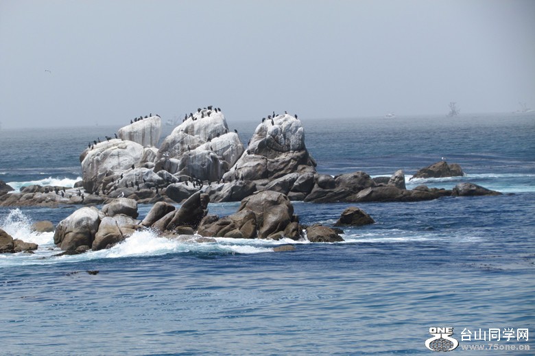 IMG_6525_1.jpg