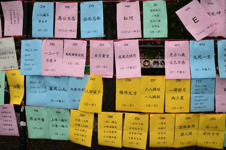 DSC_4505 (750x497).jpg