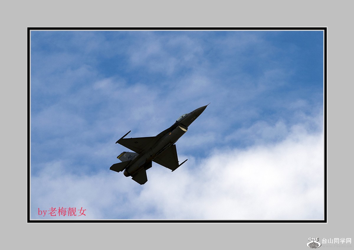 t5.jpg