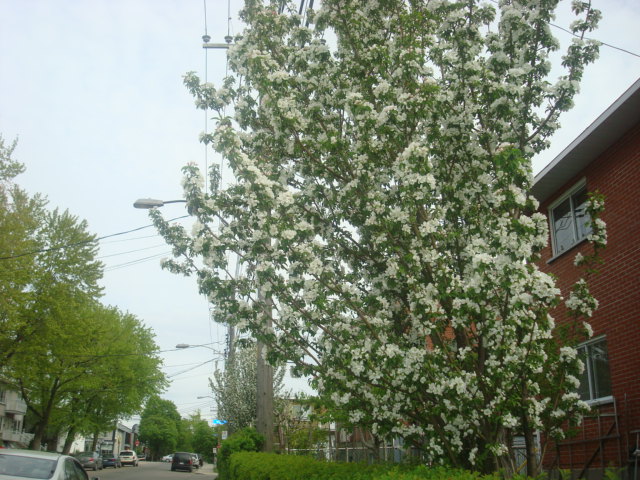 DSC01683.JPG