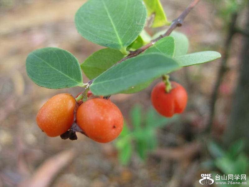2011.9.13.ī 035.jpg