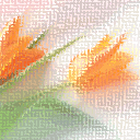 ʦڿ.gif