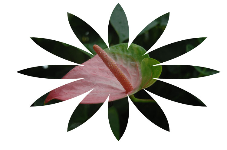 ÷Ů-7.jpg