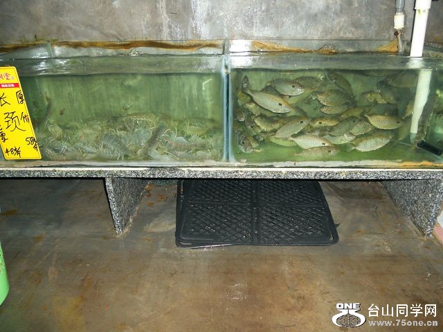 DSCN0950.JPG