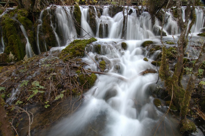 DSC_0001.JPG