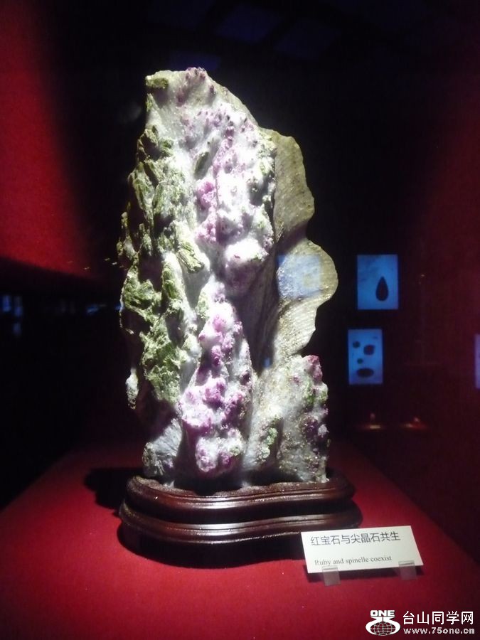 ʯӢ25.JPG