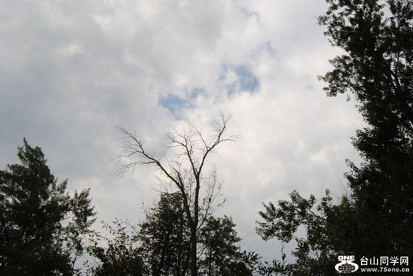 DSC_6785.JPG
