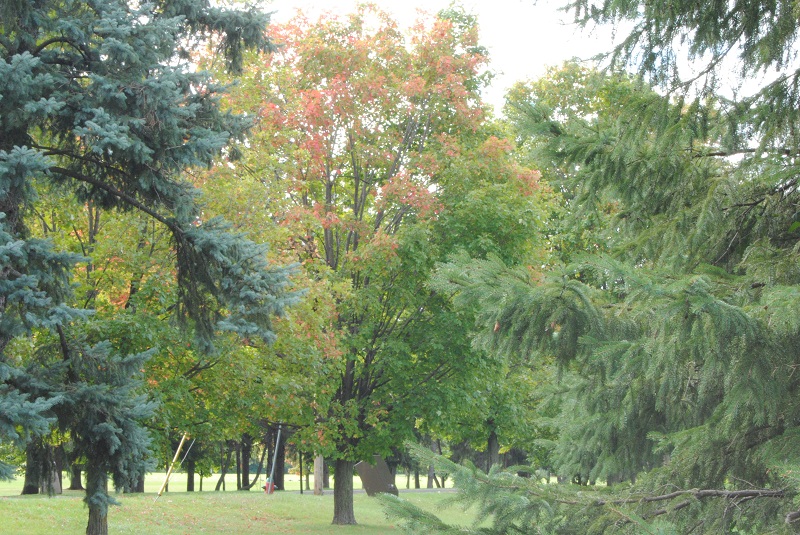 DSC_6858.JPG