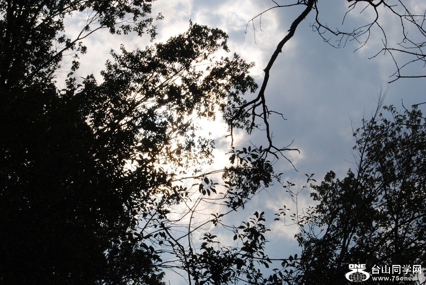 DSC_6782.JPG