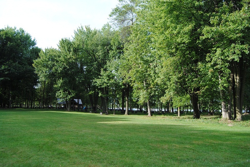 DSC_6528.JPG