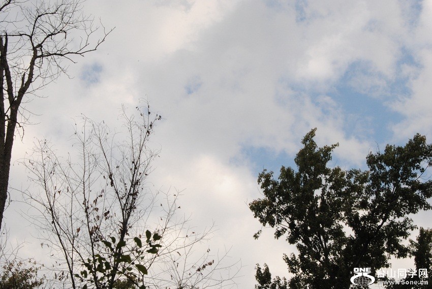 DSC_6780.JPG