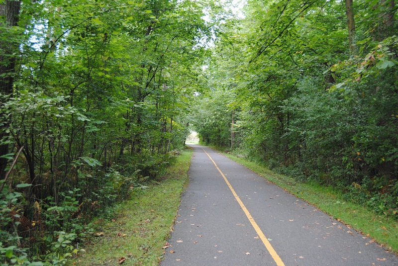 DSC_6603.JPG