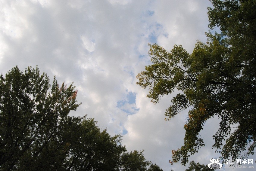 DSC_6759.JPG