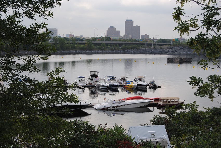 DSC_6365.JPG