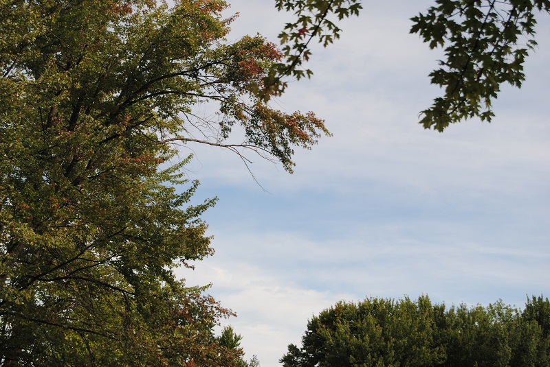 DSC_6593.JPG