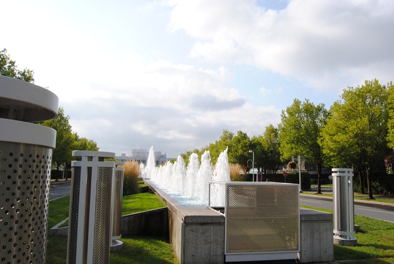 DSC_6341.JPG