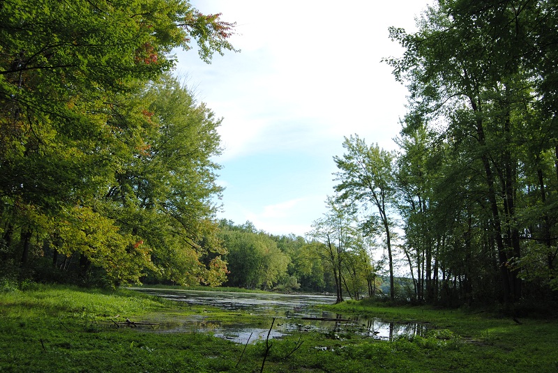 DSC_6596.JPG