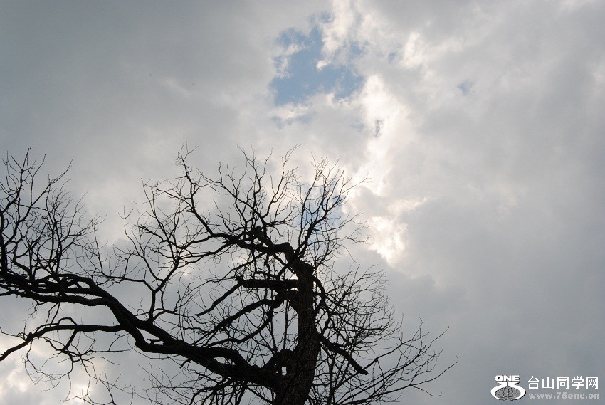 DSC_6784.JPG