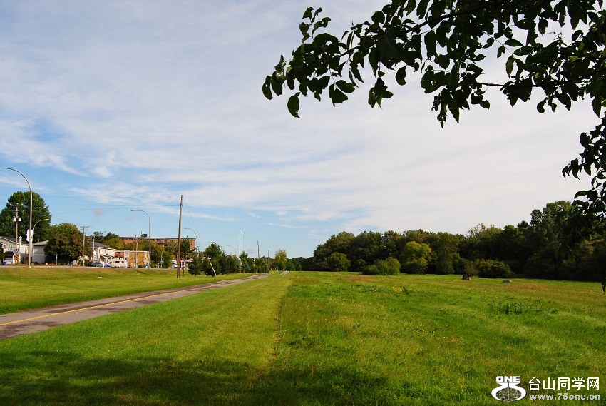 DSC_6932.JPG